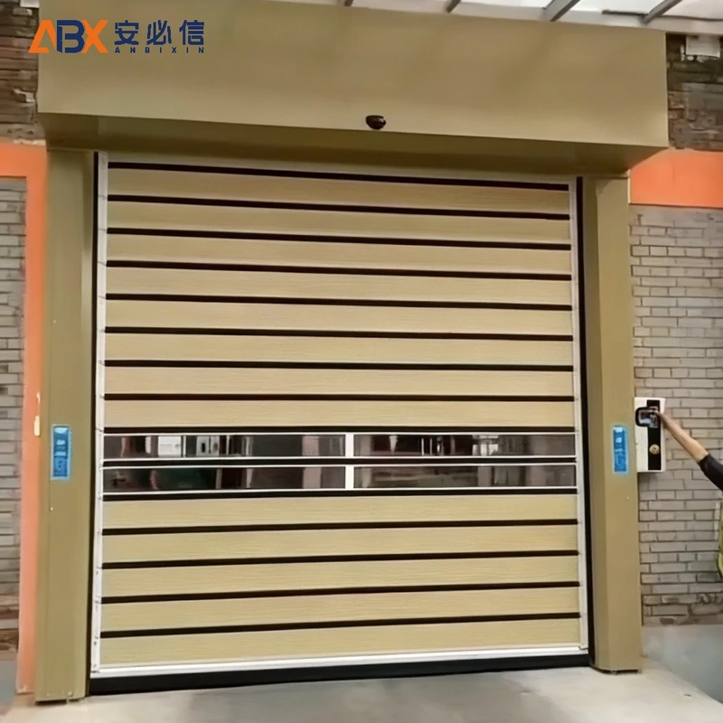丽水感应高速门
